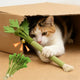 Cat Chew Toys Catnip Teeth Cleaning | Best Cat Toy USA