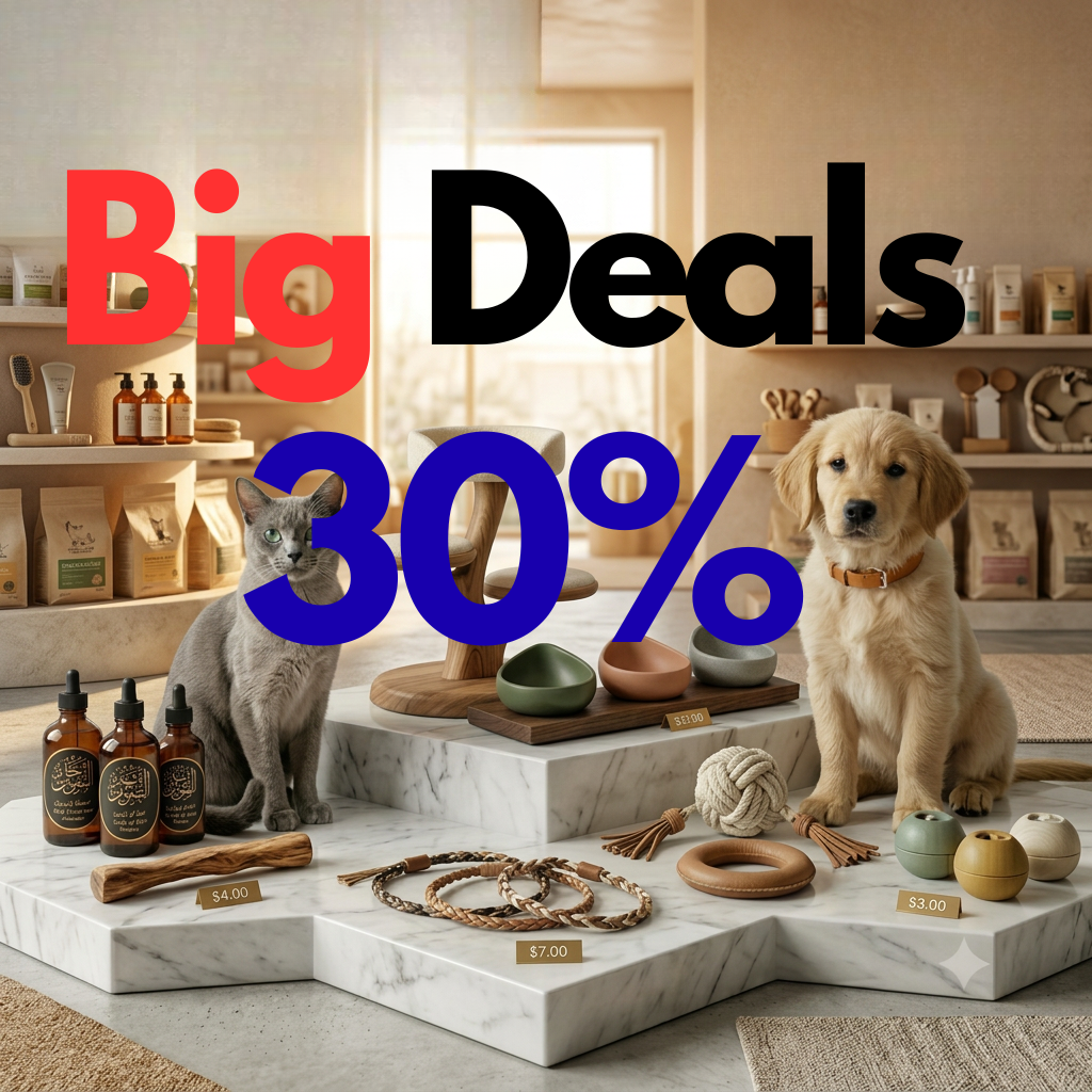 Deal & Discount