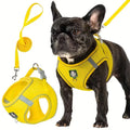 Small Medium Dog Walking Harness Leash Set 2pcs | PawJoyKwT