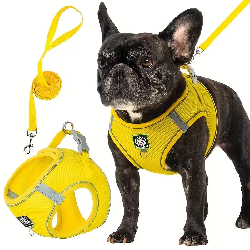 Small Medium Dog Walking Harness Leash Set 2pcs | PawJoyKwT