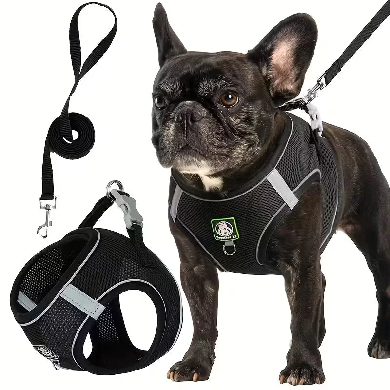 Black dog walking harness and leash set with matching leash strap and clips