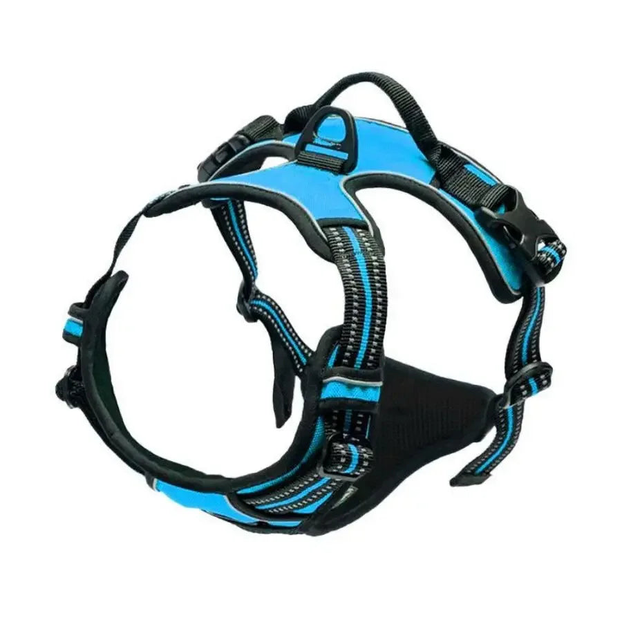 Adjustable no-pull dog harness vest, black with turquoise trim and buckles