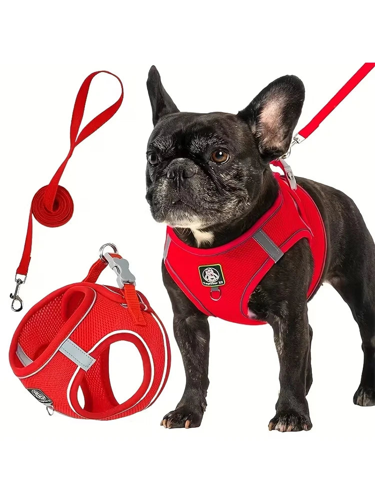 Red dog walking harness and leash set with matching leash strap and clips