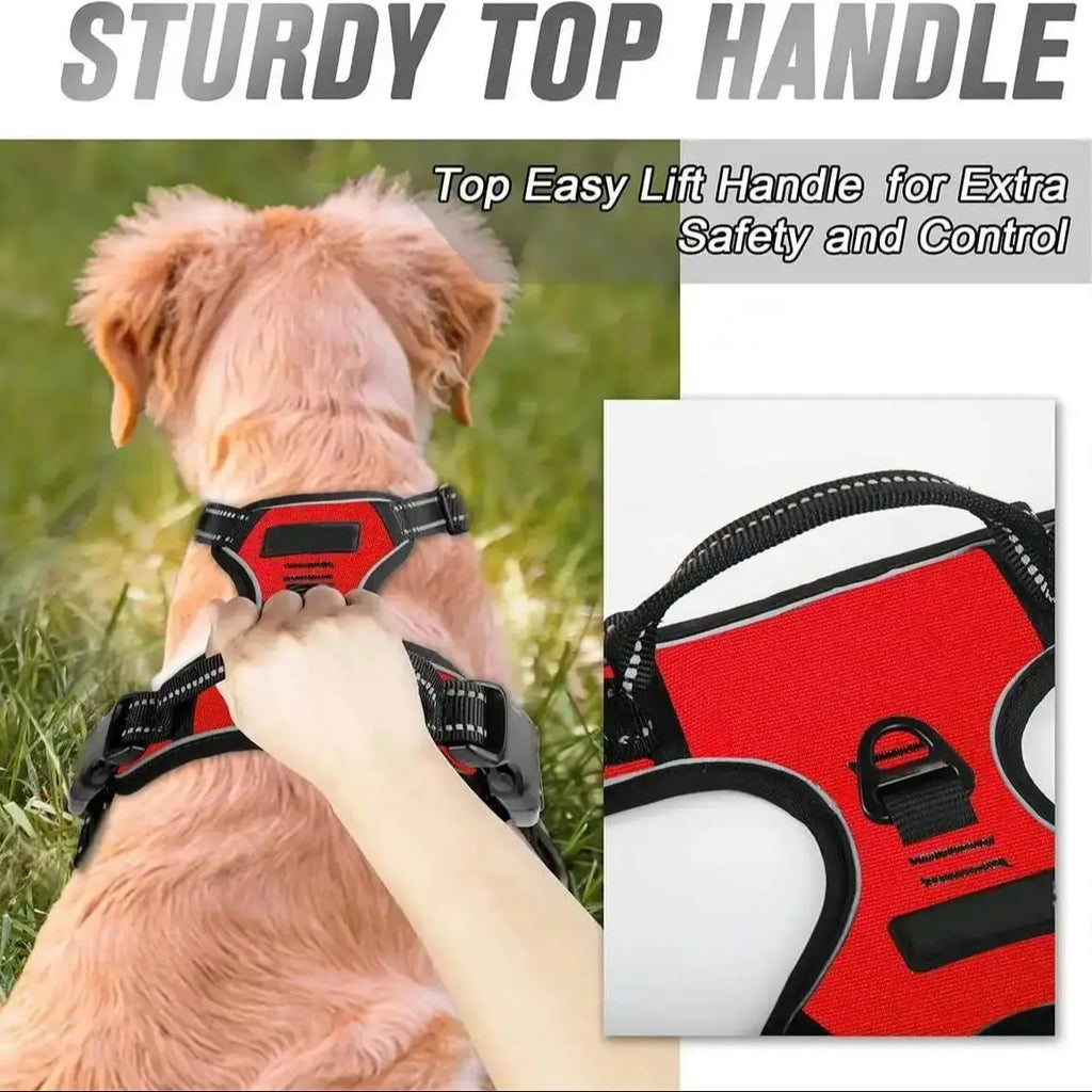 Dog Harness Leash Set Heart Print Cute Adjustable No Pull Vest Small Medium Puppy