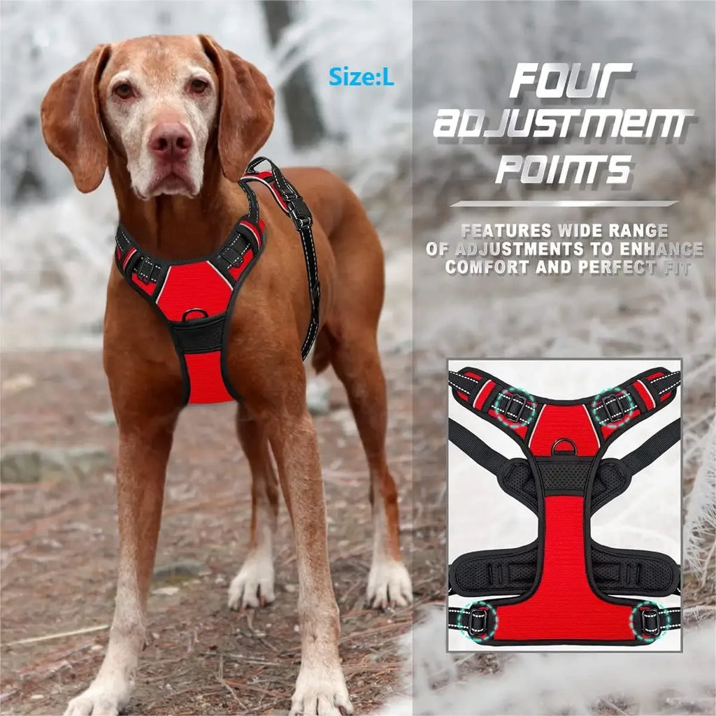 Dog Harness Leash Set Heart Print Cute Adjustable No Pull Vest Small Medium Puppy