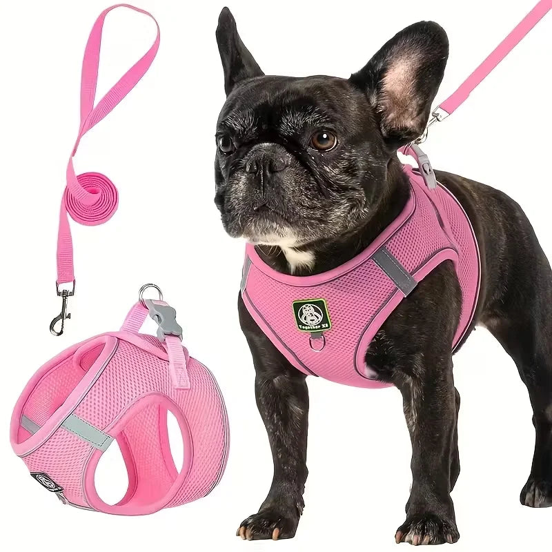 Pink dog walking harness and leash set with matching leash strap and clips