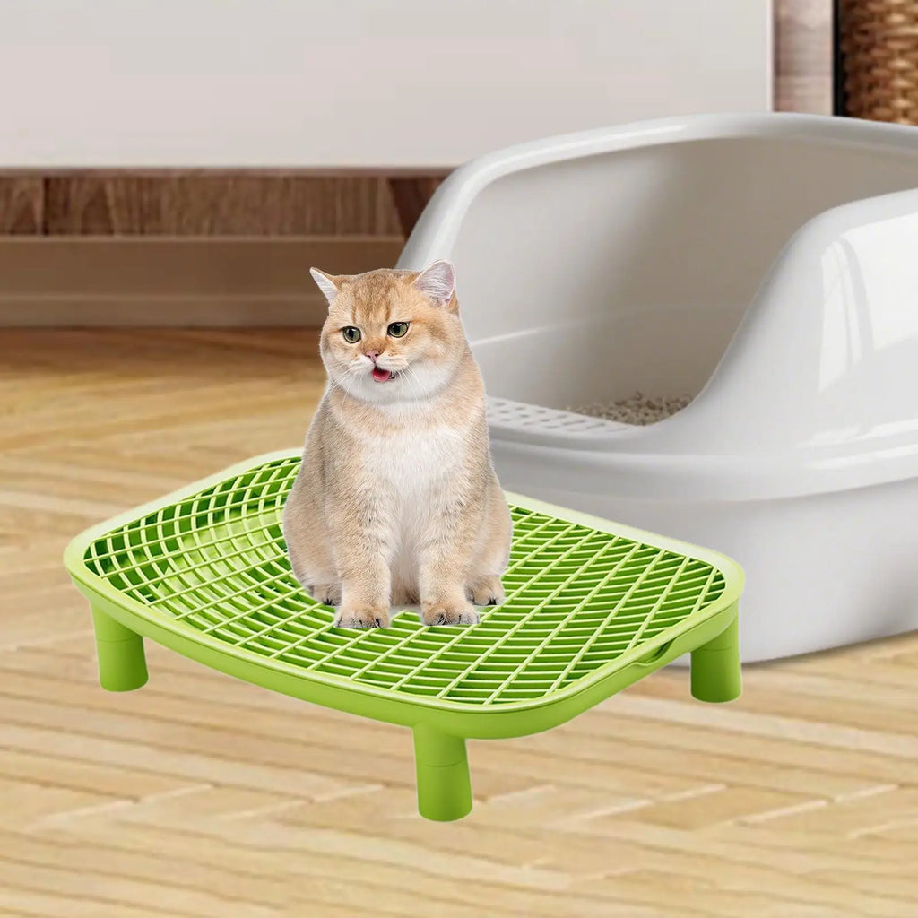 Green cat litter box anti-tracking ramp with white grid top and four raised feet.