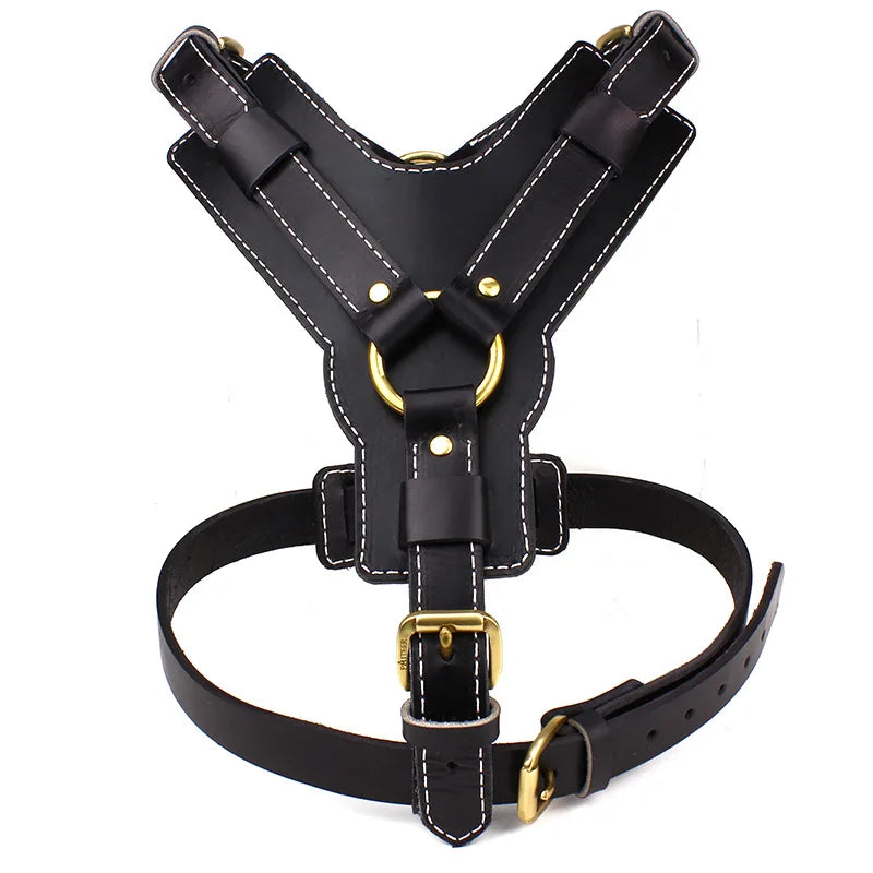 Black leather dog harness vest with Y-back straps, gold-tone ring and buckles