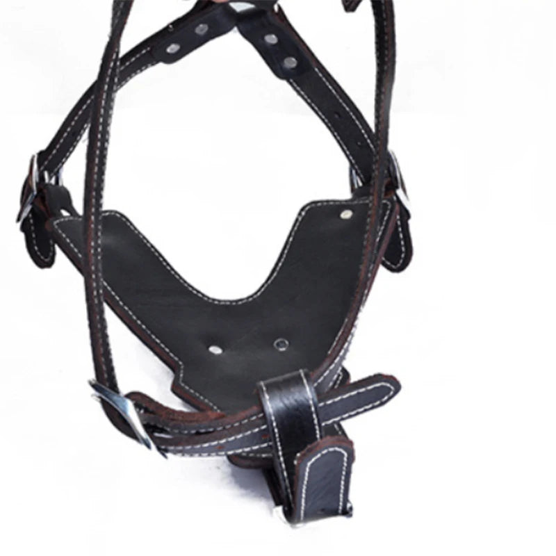 Real Leather Service Dog Harness Large Breed Training | PawJoyKwT