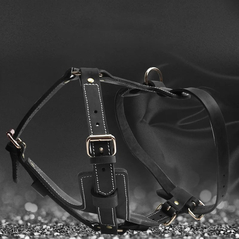 Black leather dog harness with front D-ring, cross straps, and gold-tone buckles