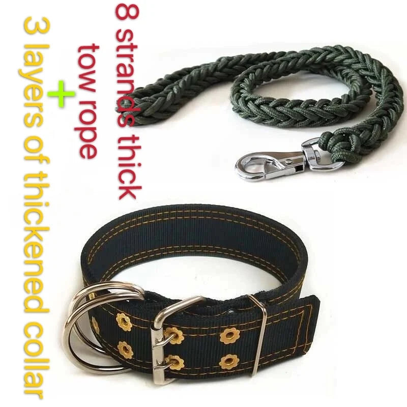 Dark dog collar with gold pattern and braided green leash with metal clasp.