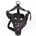 Real Leather Service Dog Harness Large Breed Training | PawJoyKwT