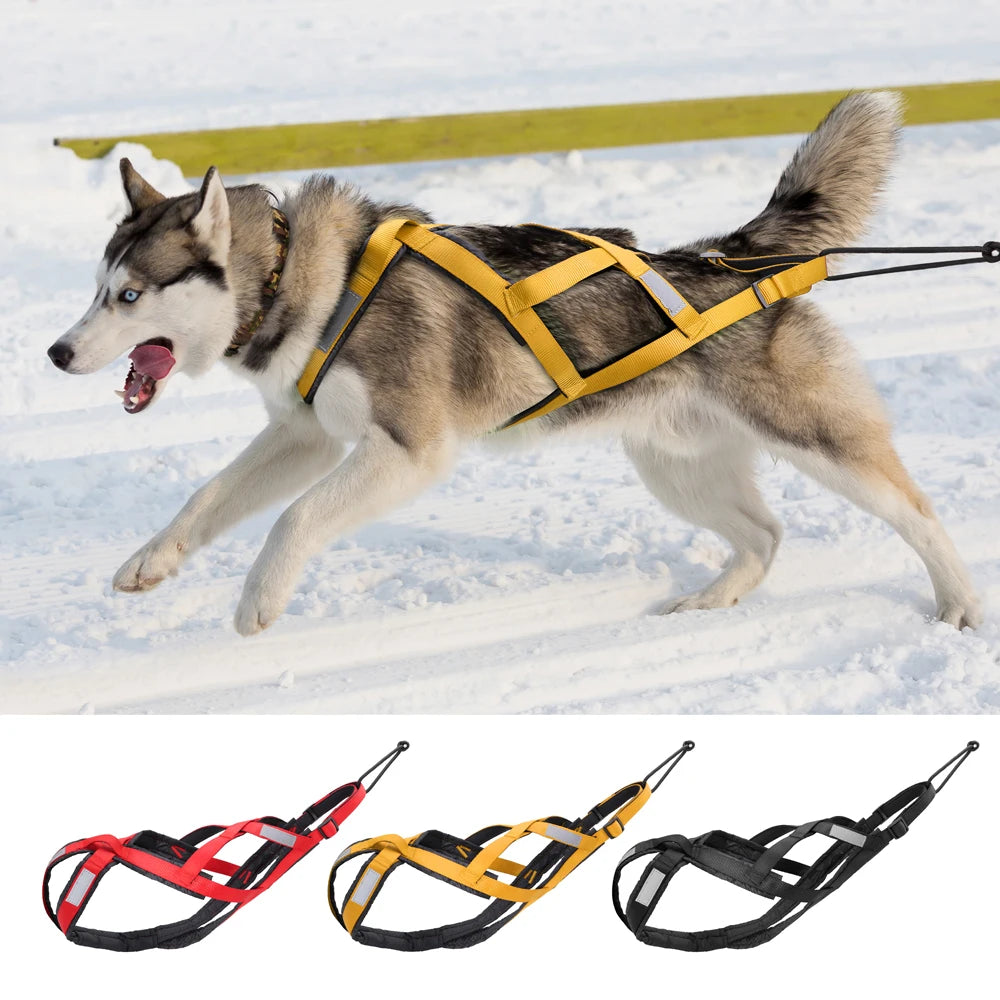 Dog Harness Leash Set Nylon Adjustable Reflective No Pull Padded Vest Medium Large