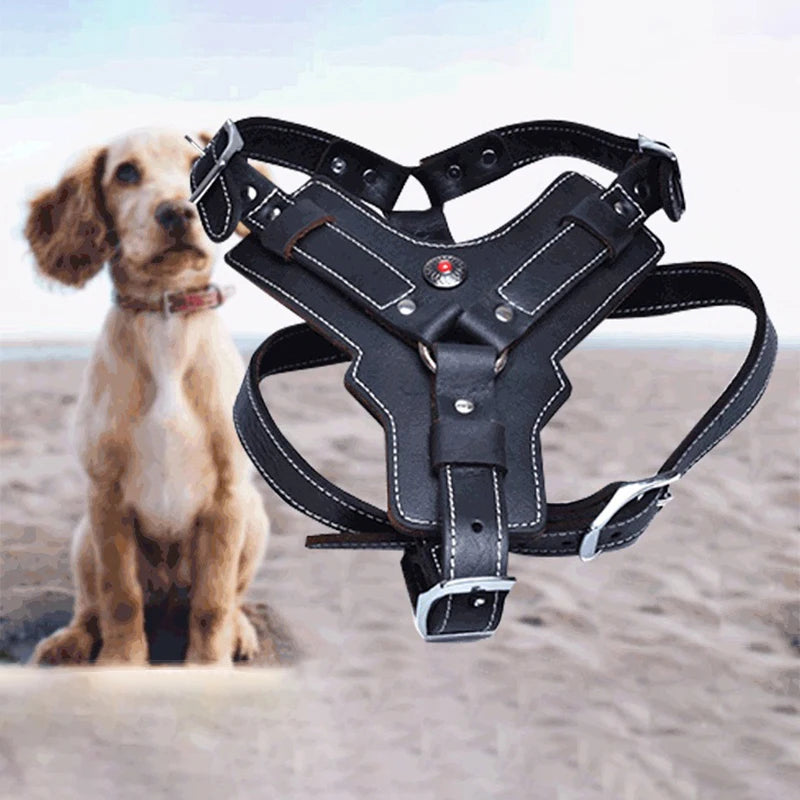 Real Leather Service Dog Harness Large Breed Training | PawJoyKwT