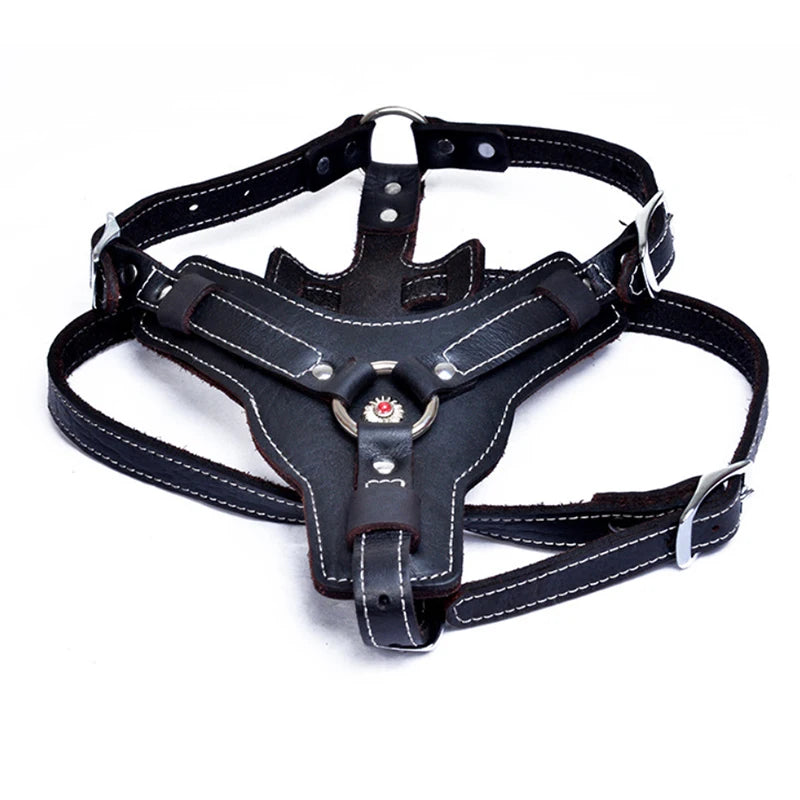 Real Leather Service Dog Harness Large Breed Training | PawJoyKwT
