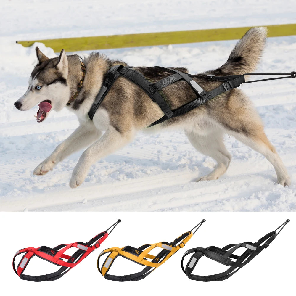 Dog Harness Leash Set Camouflage Military Tactical No Pull Reflective Medium Large