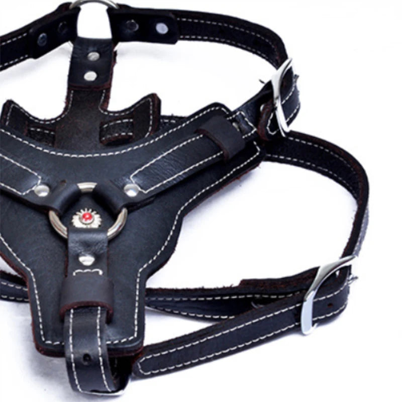 Real Leather Service Dog Harness Large Breed Training | PawJoyKwT
