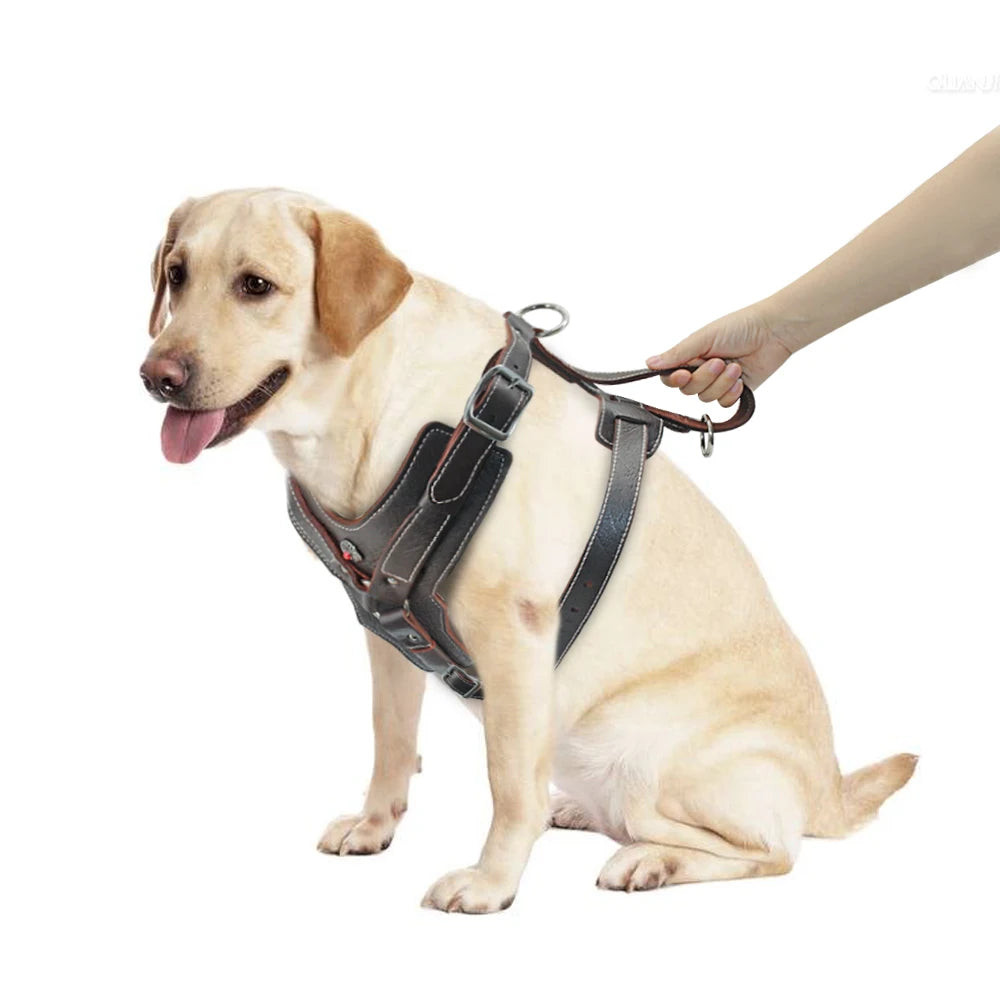 Genuine Leather Dog Harness Training Vest Quick Handle | PawJoyKwT