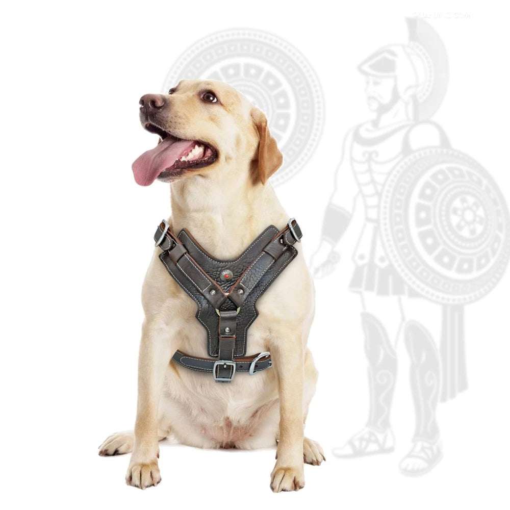 Genuine Leather Dog Harness Training Vest Quick Handle | PawJoyKwT