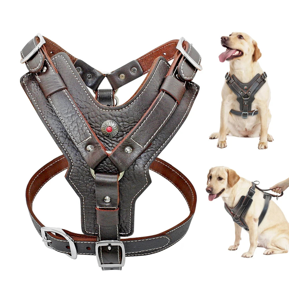 Genuine Leather Dog Harness Training Vest Quick Handle | PawJoyKwT