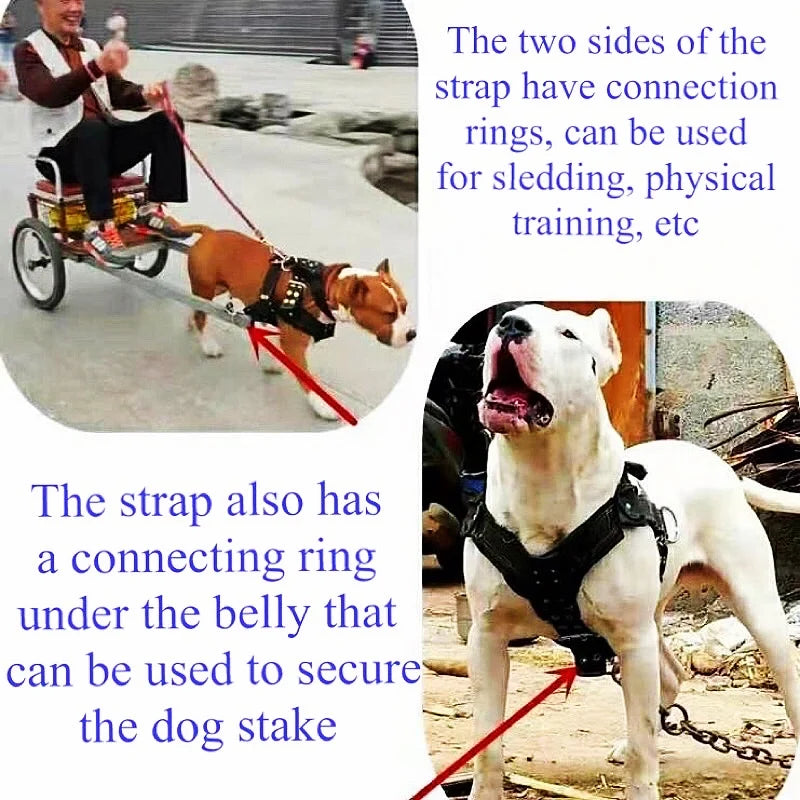 Black dog harness vest with leash attachment rings and red leash in use.