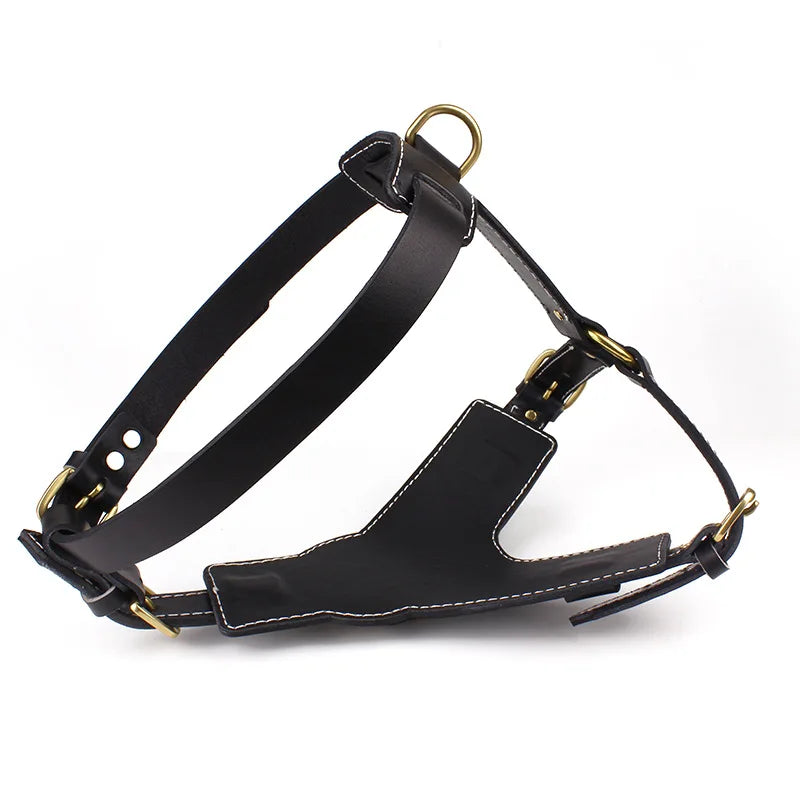 Black leather dog harness with front strap, chest panel, and gold-tone hardware