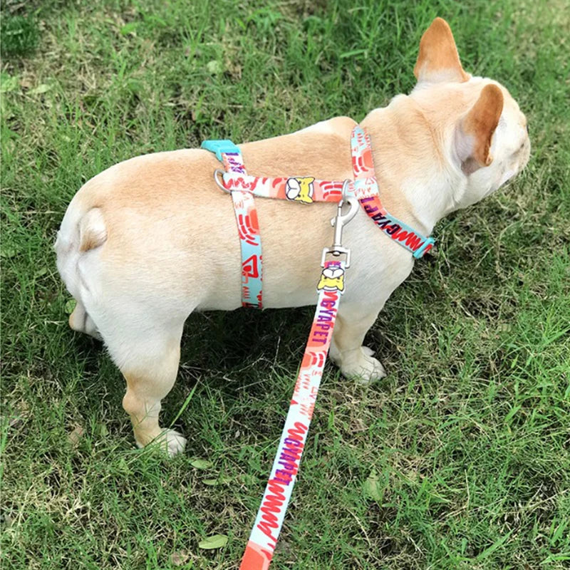 Dog Harness Leash Set Striped Cute Adjustable No Pull Vest Small Medium Puppy