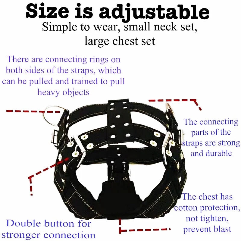 Black dog harness vest diagram with connecting straps and chest panel details.