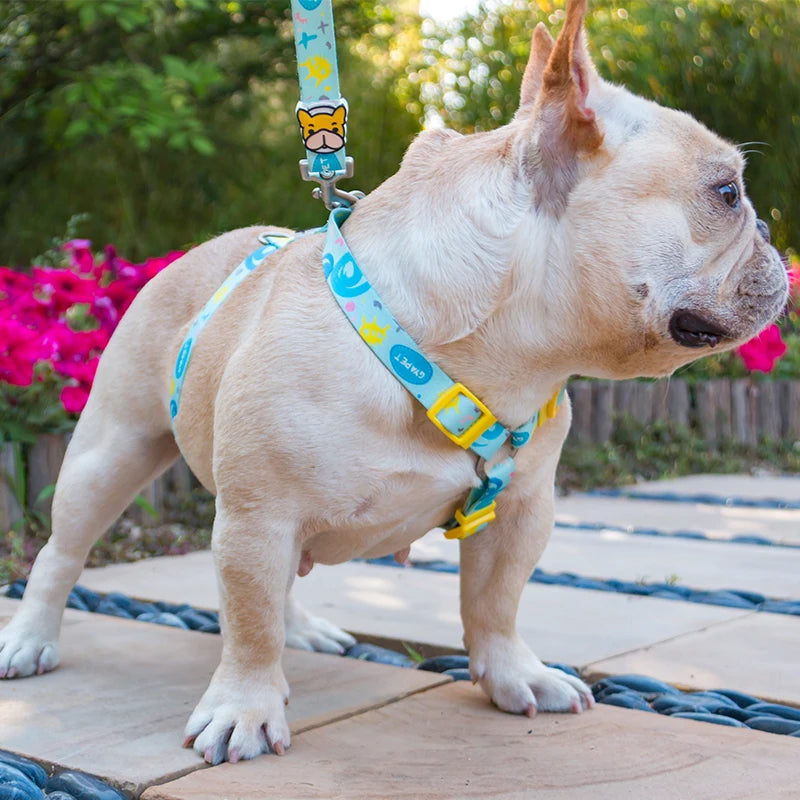 Dog Harness Leash Set Striped Cute Adjustable No Pull Vest Small Medium Puppy