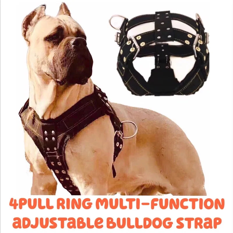 Black dog harness vest with crisscross straps and metal D-rings, front view.