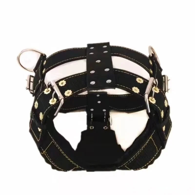Black dog harness vest with front strap panel and metal buckles, close-up.