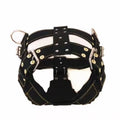 Black dog harness vest with front strap panel and metal buckles, close-up.