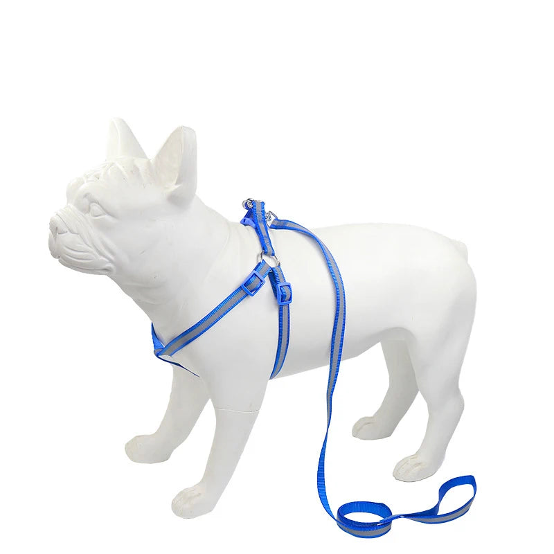 Blue reflective puppy dog harness vest with matching leash on a white dog