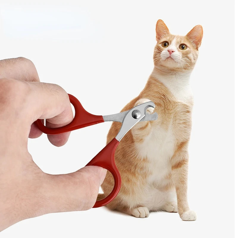 Hand holding pet nail clipper scissors with red handles and silver cutting blades