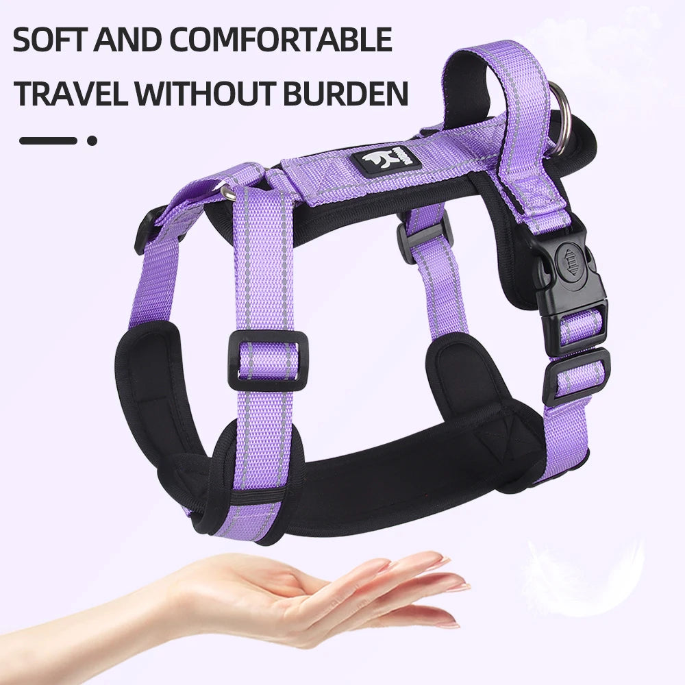 Purple dog chest harness with padded straps and buckles, shown being held