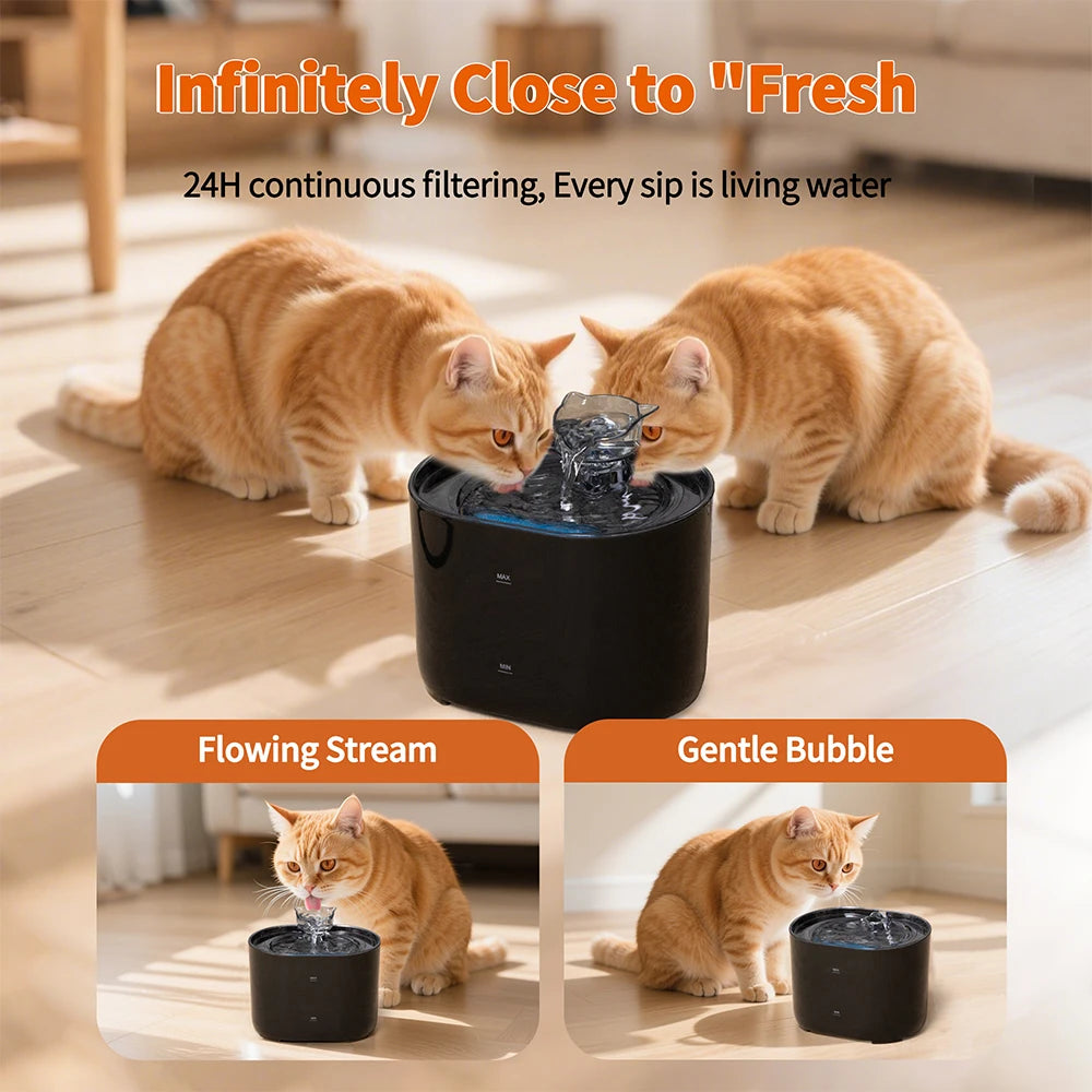 Cute Cat Ear Water Dispenser | Adorable Pet Fountain USA