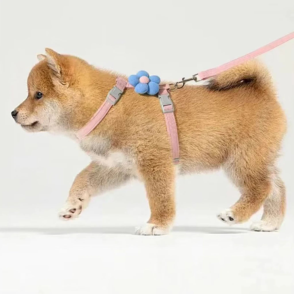Cat harness and leash set with pink straps and blue flower bow