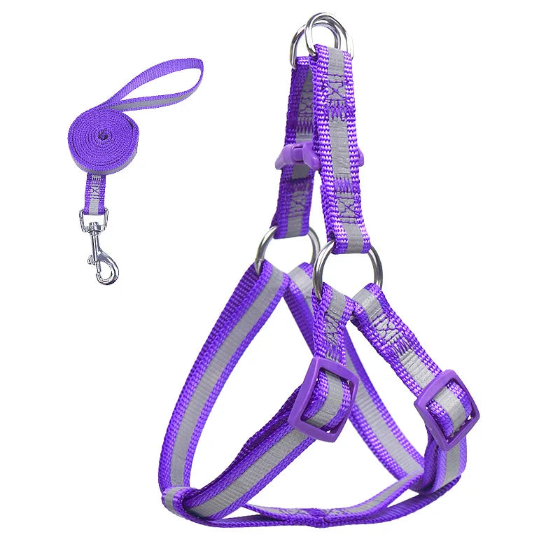 Reflective dog harness with leash, purple reflective straps and two metal buckles