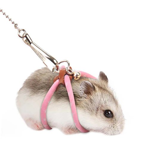 Close-up of a hamster wearing a pink soft harness leash with metal rings