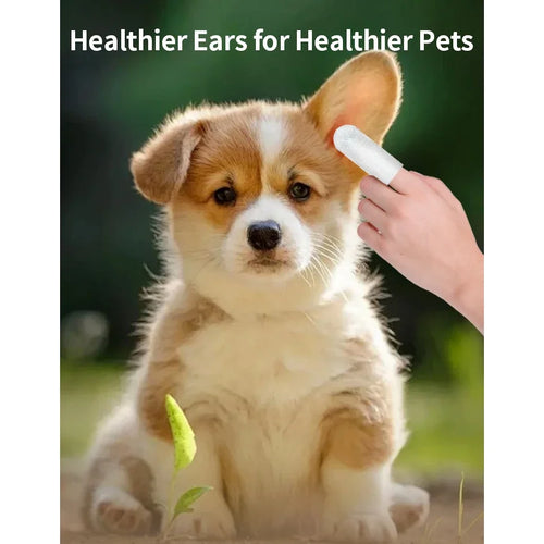 Pet ear cleaner finger wipe being applied to a puppy's ear by a hand