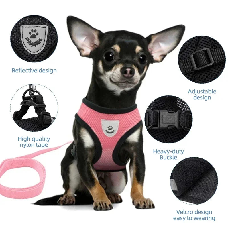 Black mesh cat harness with pink trim, adjustable buckle and reflective design
