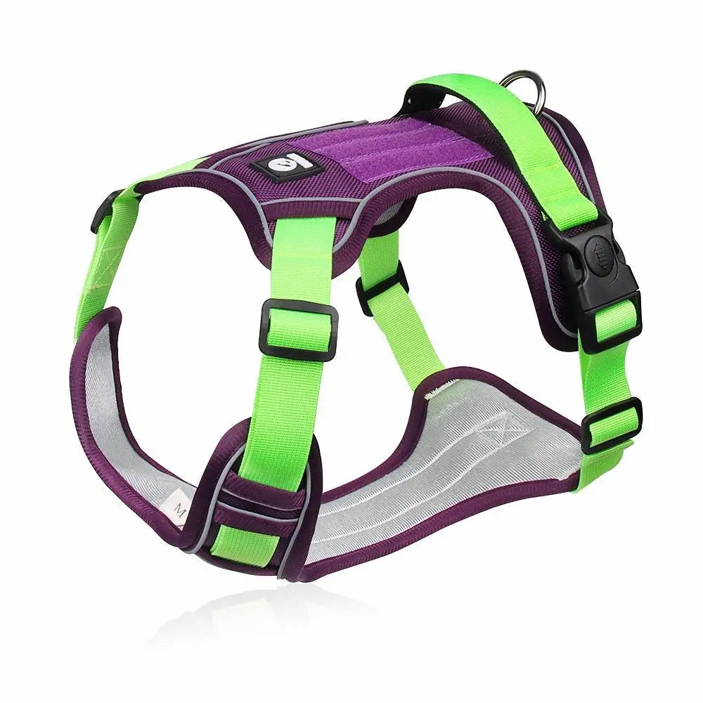 Purple reflective dog harness vest with neon green straps and adjustable buckles