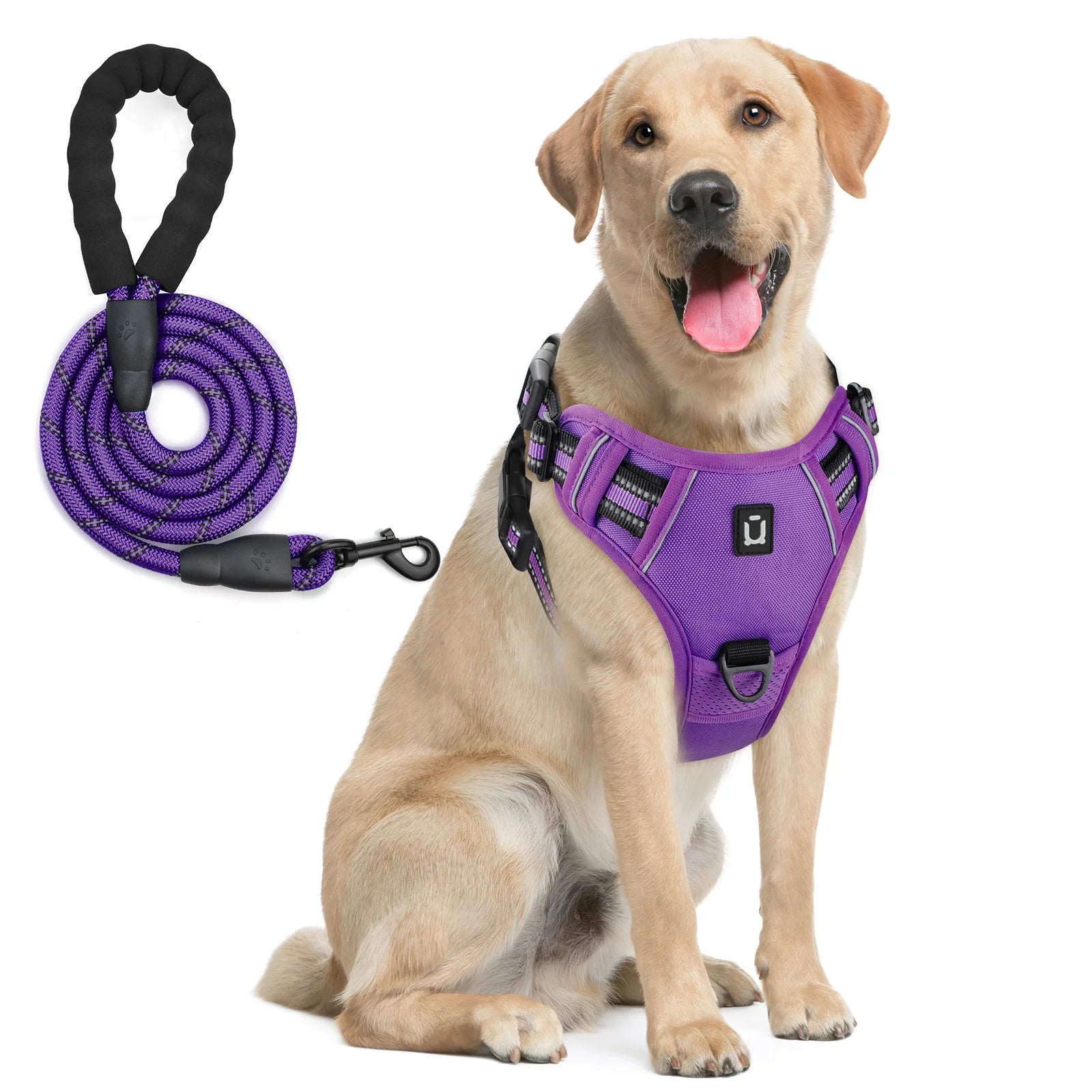 Purple dog harness with matching leash set, reflective no-pull chest strap