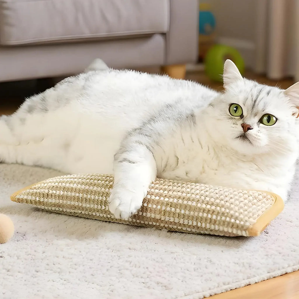 Interactive Cat Scratcher Toy with Catnip Pillow - Kitten Claw Grinder