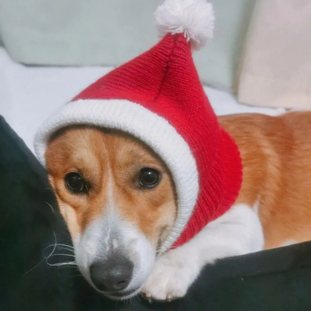 Festive Wool Hat for Cats & Dogs — Christmas & New Year