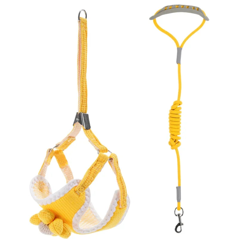 Orange dog harness and matching leash, adjustable neck and chest straps with paw charm