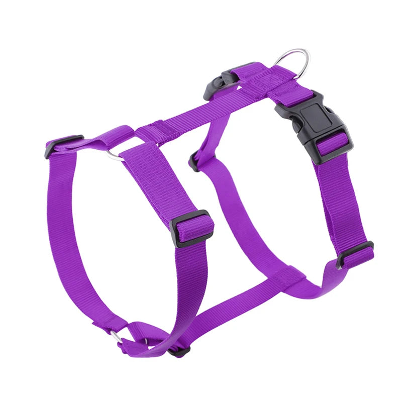 Lightweight H-shape dog harness, purple nylon straps with plastic buckles and D-ring.