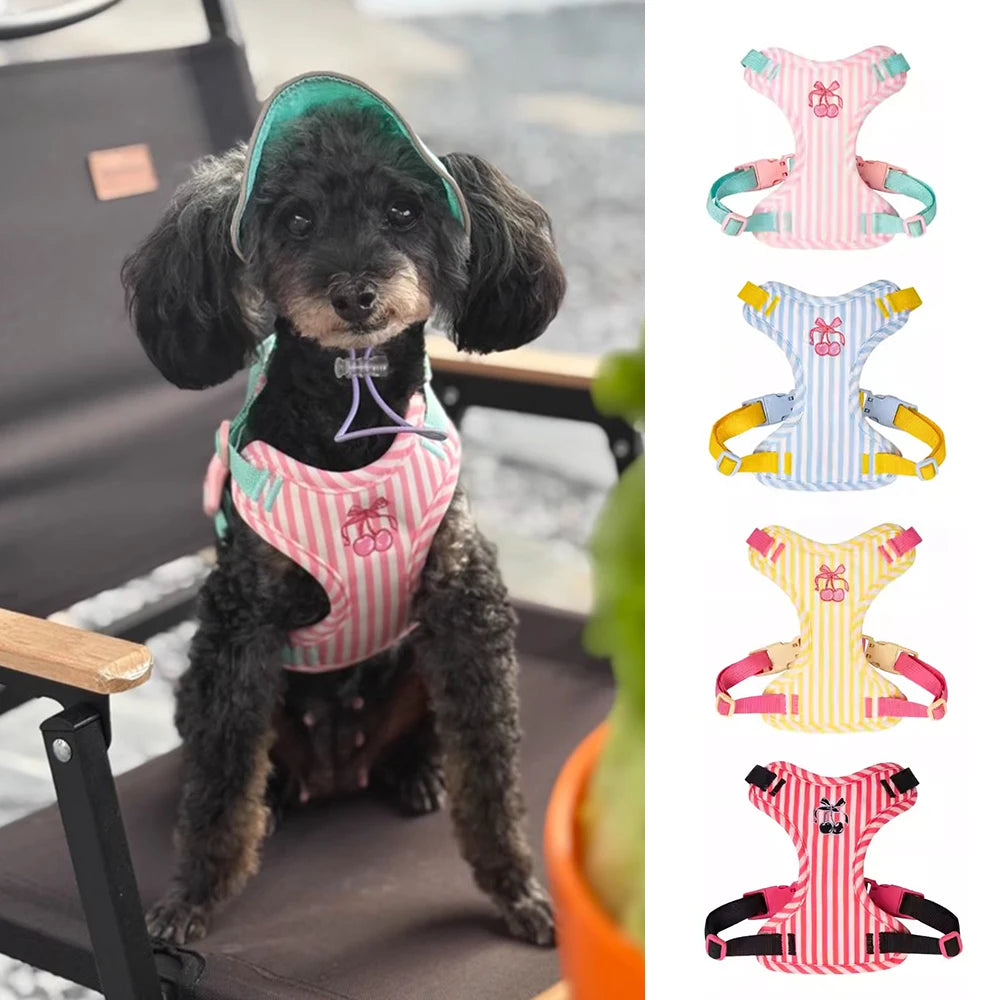 Dog harness and leash set, pink striped harness with bow on black dog