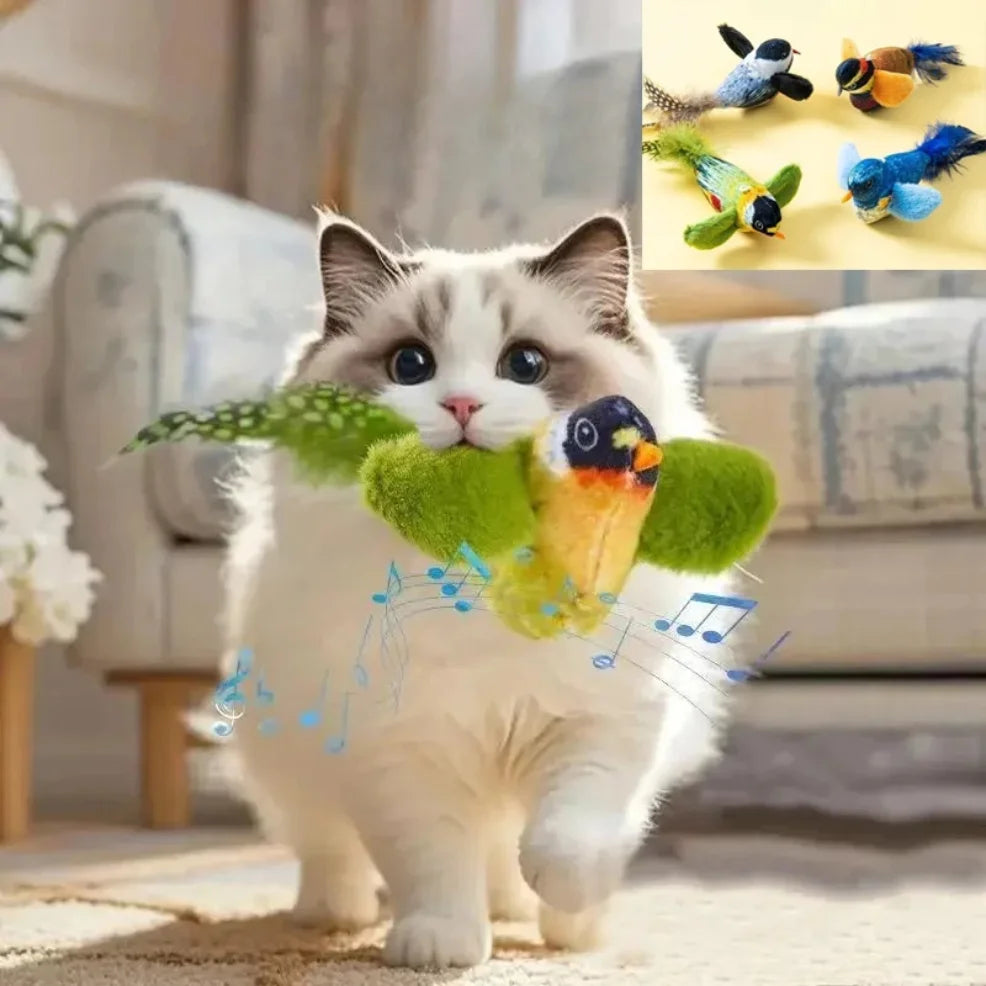 Wall-Hanging Bird Teaser with Catnip Indoor | PawJoyKwT