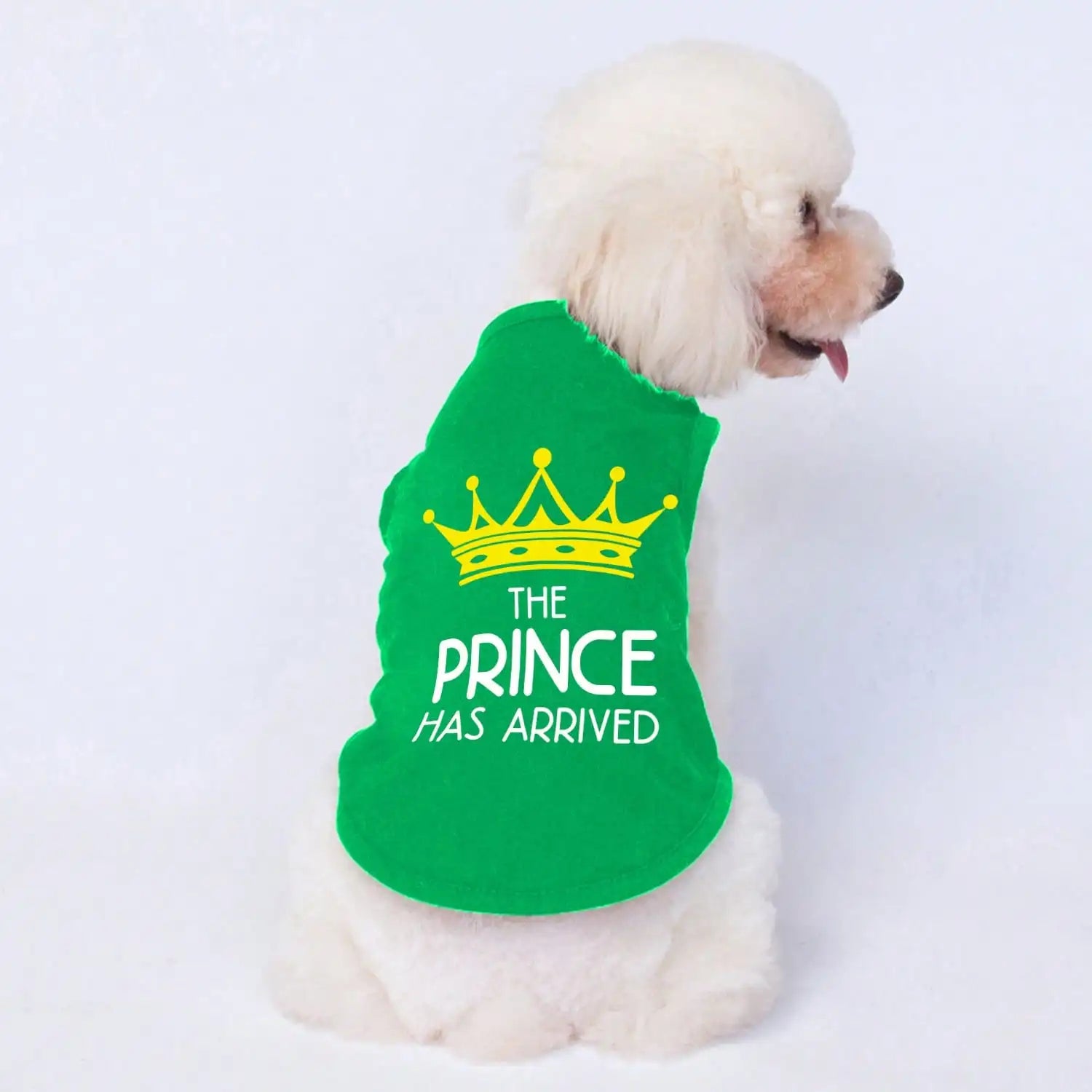 Green pet vest for dogs and cats with yellow crown and 'The Prince Has Arrived' text